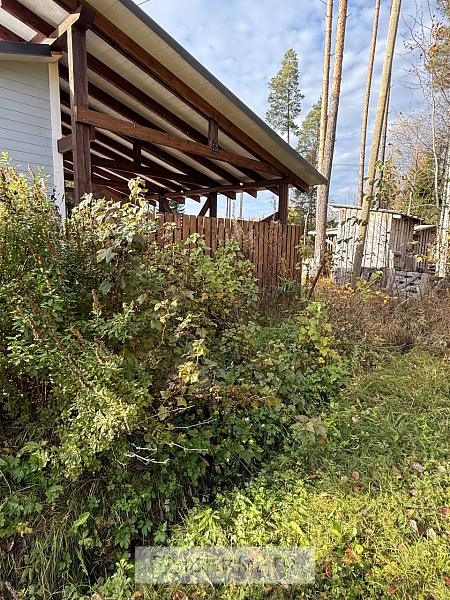 Участок 12 соток (ЛПХ)