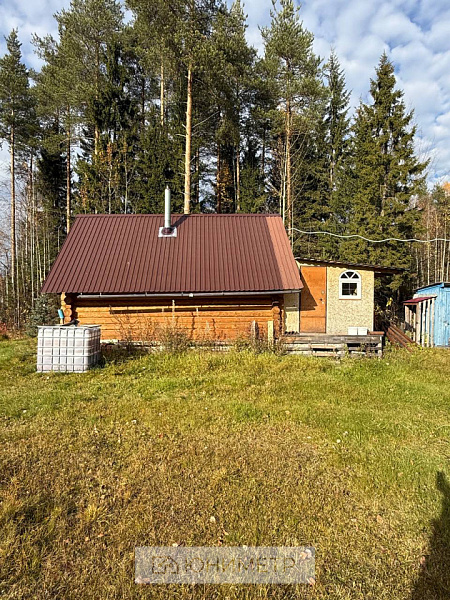 Участок 12 соток (ЛПХ)