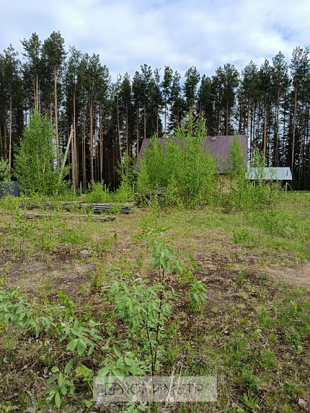 Участок 10 соток (ЛПХ)