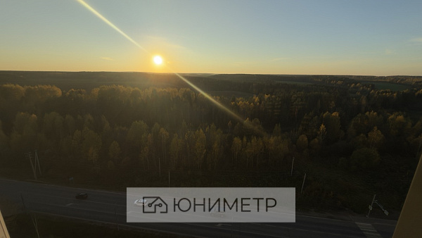 студия-к. кв. 24.6 м² 14/14 эт.