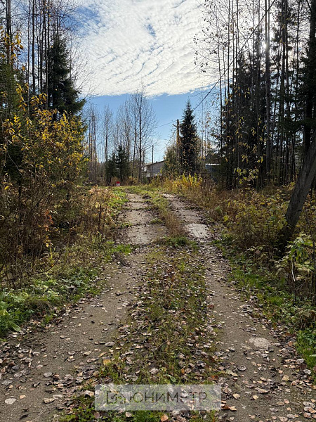 Участок 12 соток (ЛПХ)