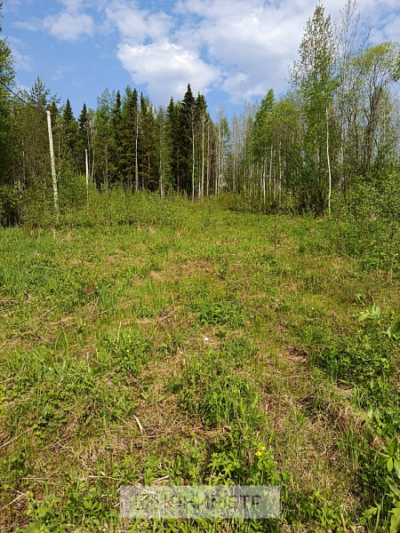 Участок 14 соток (ИЖС)
