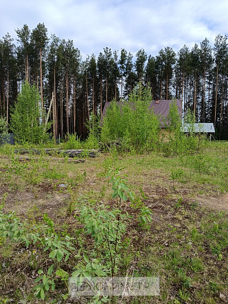 Участок 20 соток (ЛПХ)