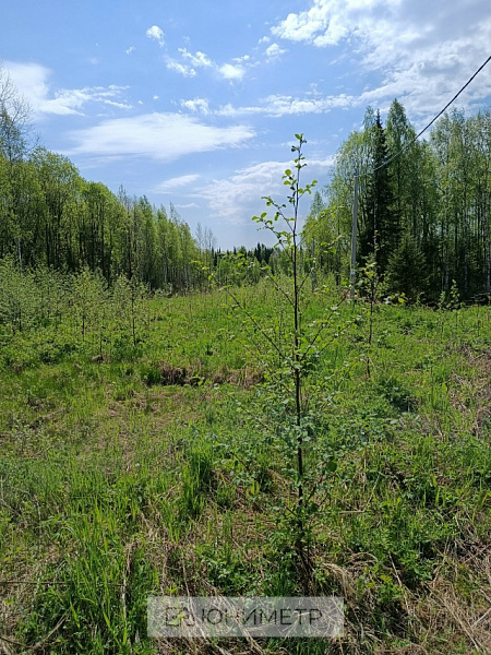 Участок 14 соток (ИЖС)