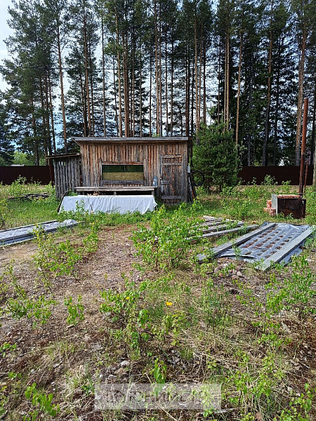 Участок 20 соток (ЛПХ)